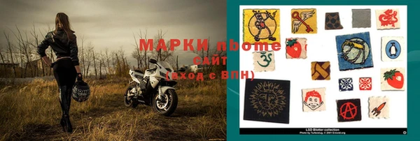 индика Баксан