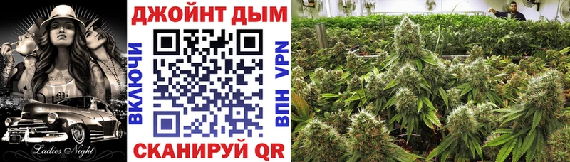 Конопля сатива  Озёры 